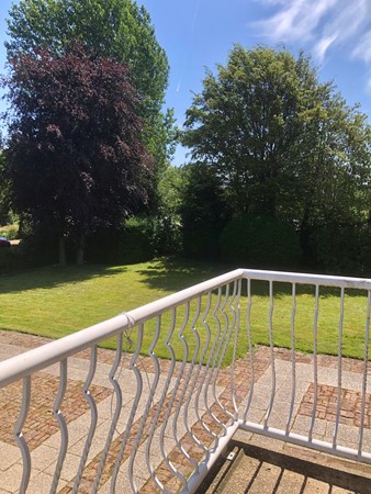 117.jpg