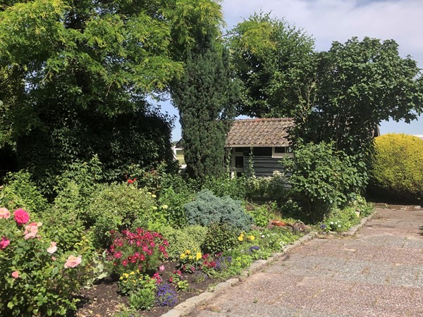 129.jpg