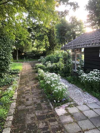 182.jpg