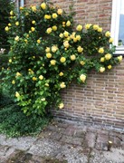 190.jpg