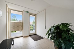 Foto_Boumare120_Maasland_6.jpg