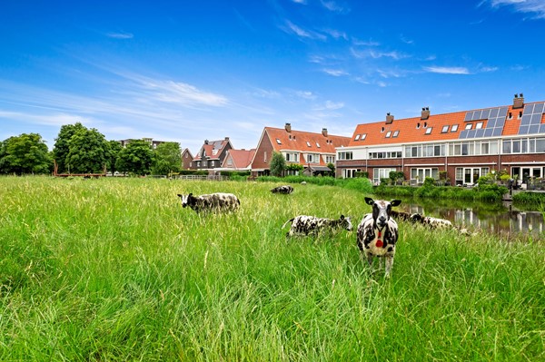 Foto_Boumare120_Maasland_44.jpg
