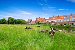 Foto_Boumare120_Maasland_44.jpg