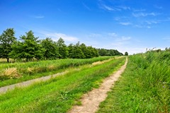 Foto_Boumare120_Maasland_48.jpg