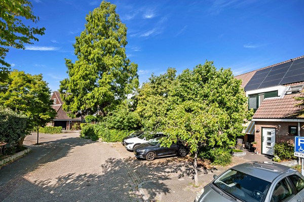 Foto_Hoefslag27_Maasland_5.jpg