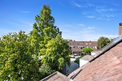 Foto_Hoefslag27_Maasland_53.jpg