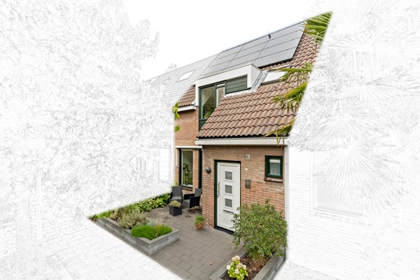 Foto_Hoefslag29_Maasland_2.jpg