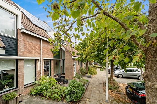Foto_Hoefslag29_Maasland_4.jpg
