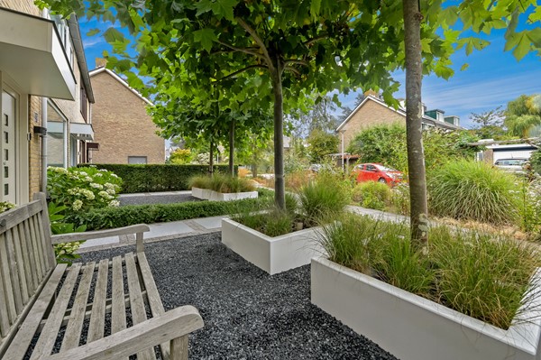 Foto_Plantage11_Maasland_10.jpg