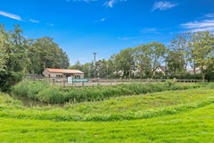 Foto_Werve60_Maasland_81.jpg
