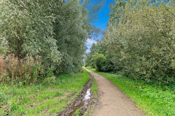 Foto_Werve60_Maasland_82.jpg