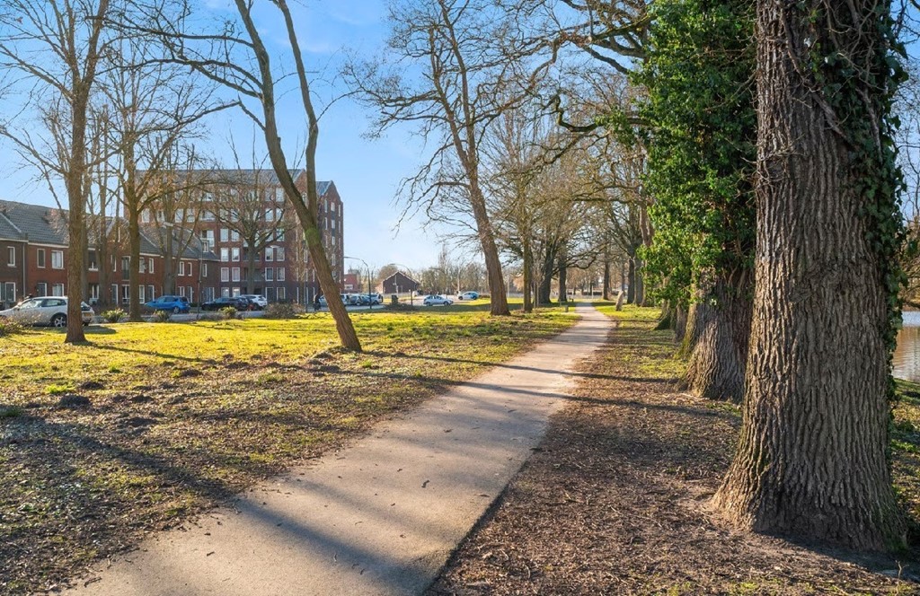 Park.jpg