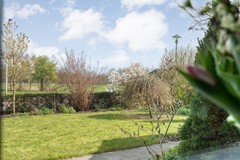 Foto63.jpg