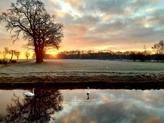20250313_071007.jpg