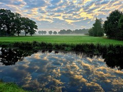 20250929_080602.jpg