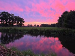20251003_073241.jpg