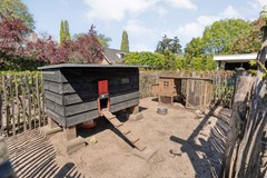 Foto_50.jpg