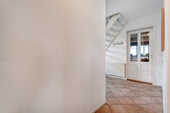 Foto -20.jpg
