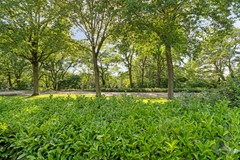 Foto -52.jpg