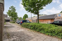 Foto-30.jpg