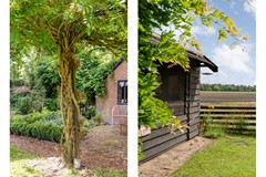 Foto-76.jpg