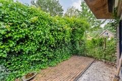 Foto-77.jpg