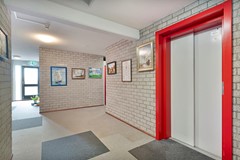 Foto-13.jpg