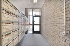 Foto-14.jpg