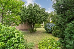 Foto-42.jpg