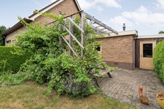Foto-47.jpg