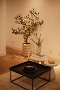IMG_6284.jpg