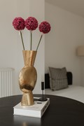 New for rent: Baffinstraat 5H, 1057 SV Amsterdam