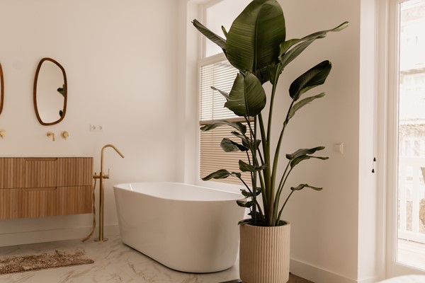 Medium property photo - Derde Helmersstraat 25H, 1054 BA Amsterdam
