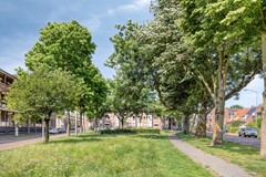 vanSlingelandtstraat43B4812LBBredaNL-30.jpg