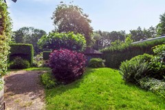 Vlasweel804844THTerheijdenNL -43.jpg