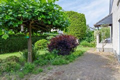 Vlasweel804844THTerheijdenNL -44.jpg