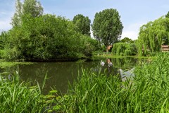 Vlasweel804844THTerheijdenNL -52.jpg