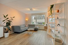 Hondsdraf154844HDTerheijdenNL-06 - kopie.jpg