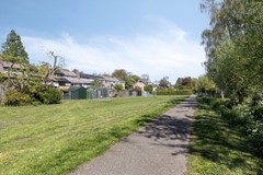 Bolderik24844RLTerheijdenNL-66.jpg