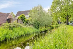 Veldbies294844HHTerheijdenNL-31.jpg