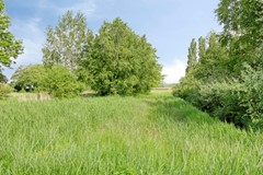 Veldbies294844HHTerheijdenNL-33.jpg
