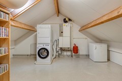 Veldbies334844HHTerheijden-26.jpg