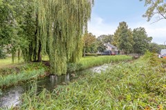 Veldbies334844HHTerheijden-33.jpg