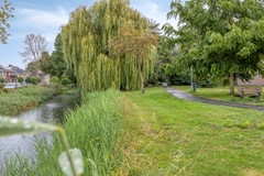 Veldbies334844HHTerheijden-35.jpg