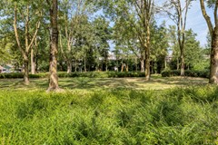 Ganzenweel104844TJTerheijden-33.jpg