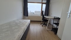 PHOTO-2026-03-10-17-05-41 (10).jpg