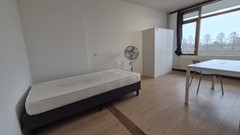 PHOTO-2026-03-10-17-05-42 (1).jpg