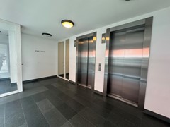 IMG_8592.JPG