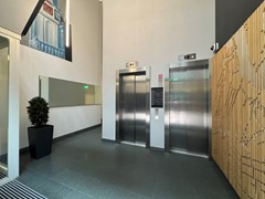 IMG_8595.JPG