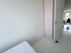 IMG_9901.jpg